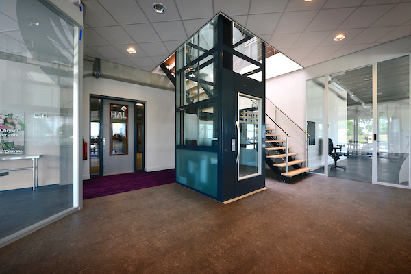 Celieplant-2-Aalsmeer-verkleind-11754-20TBF