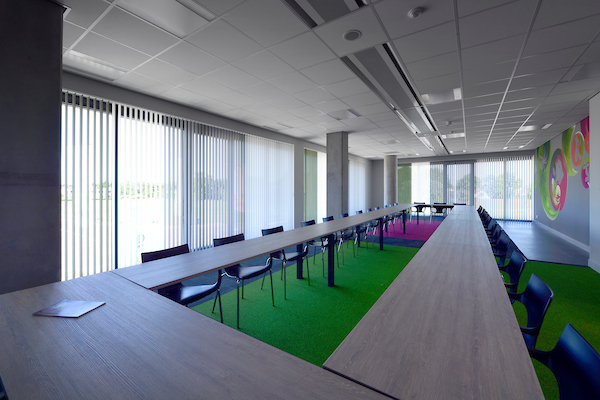 Celieplant-2-Aalsmeer-verkleind-11754-21TBF