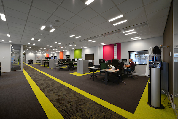 Celieplant-2-Aalsmeer-verkleind-11754-25TBF