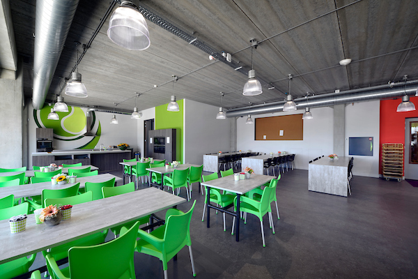 Celieplant-2-Aalsmeer-verkleind-11754-32TBF
