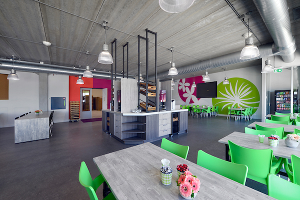 Celieplant-2-Aalsmeer-verkleind-11754-33TBF